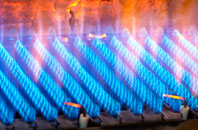 Trewalder gas fired boilers